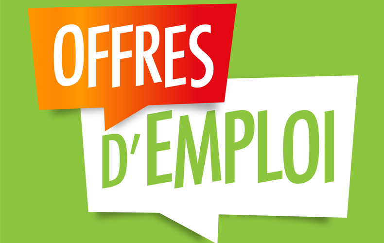 Offres d'emploi