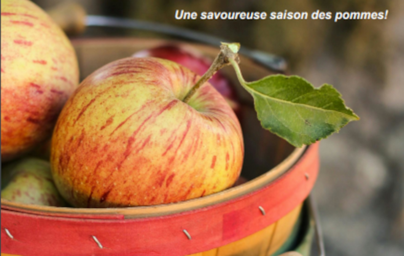 Journal Le Vaillant
