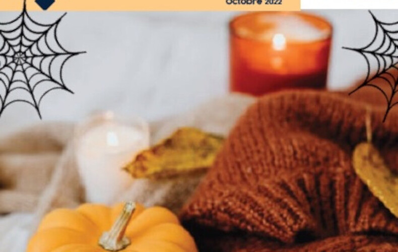Journal Le Vaillant