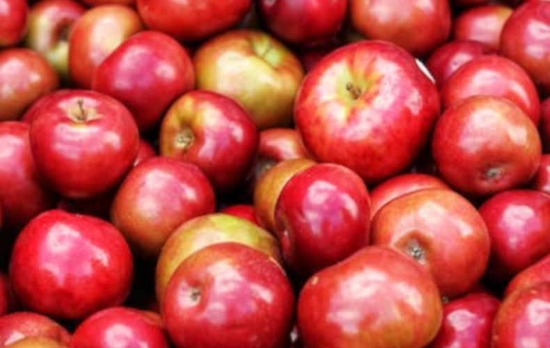 Fête de la pomme