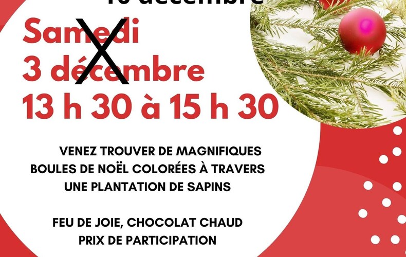 Chasse aux boules de Noël