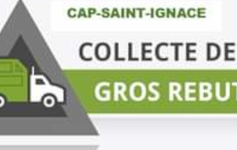 Collecte des vidanges monstres
