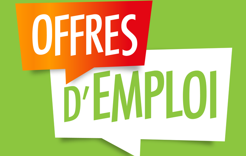 Offres d'emploi